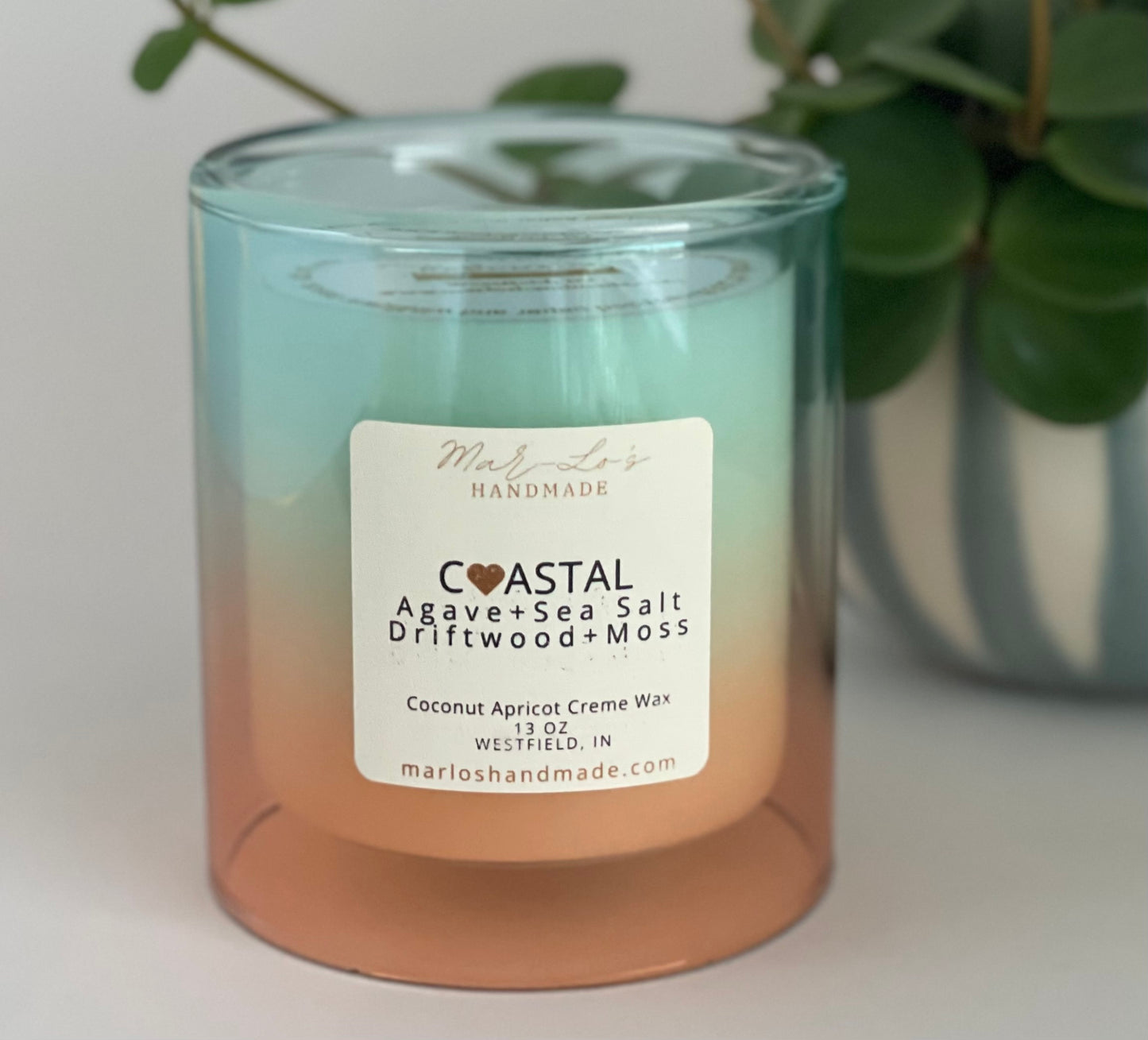 11 oz Limited Edition Candle in Coastal (Agave, Sea Salt, Driftwood, Moss)