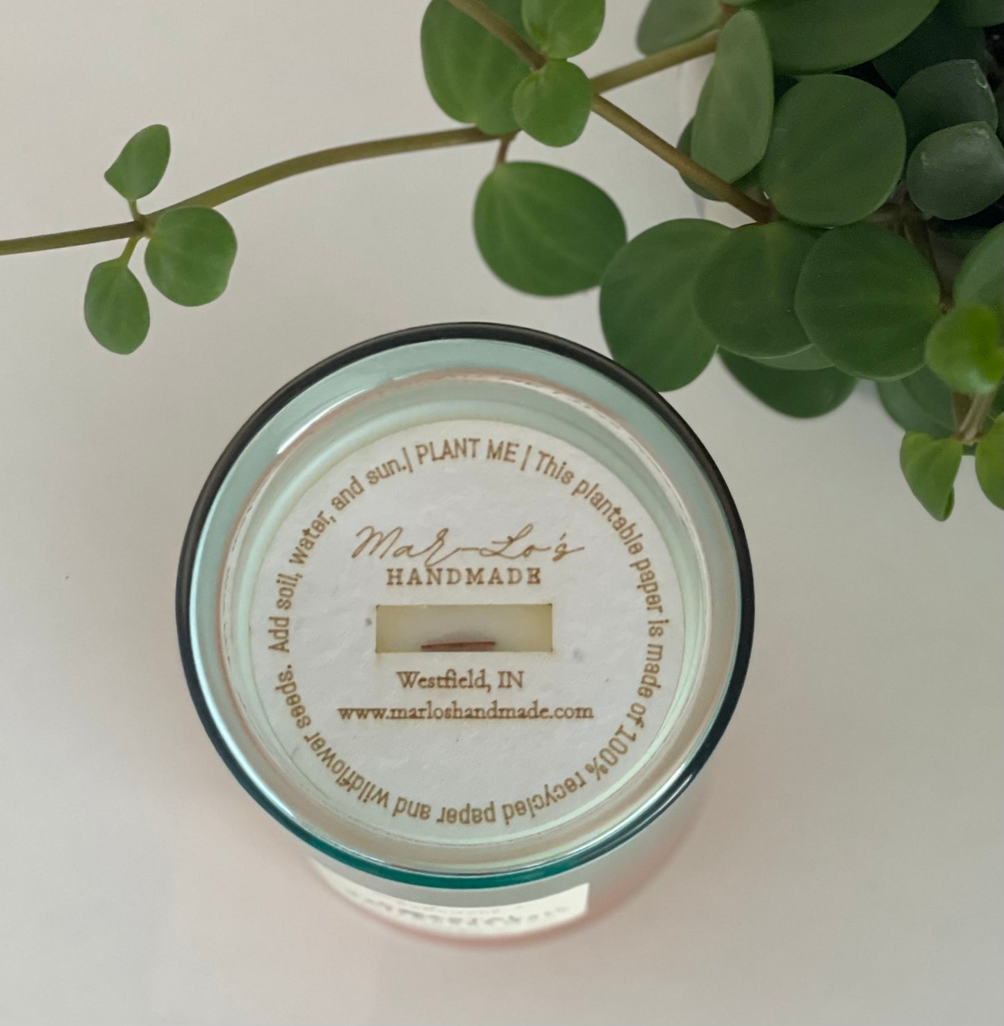 11 oz Limited Edition Candle in Coastal (Agave, Sea Salt, Driftwood, Moss)