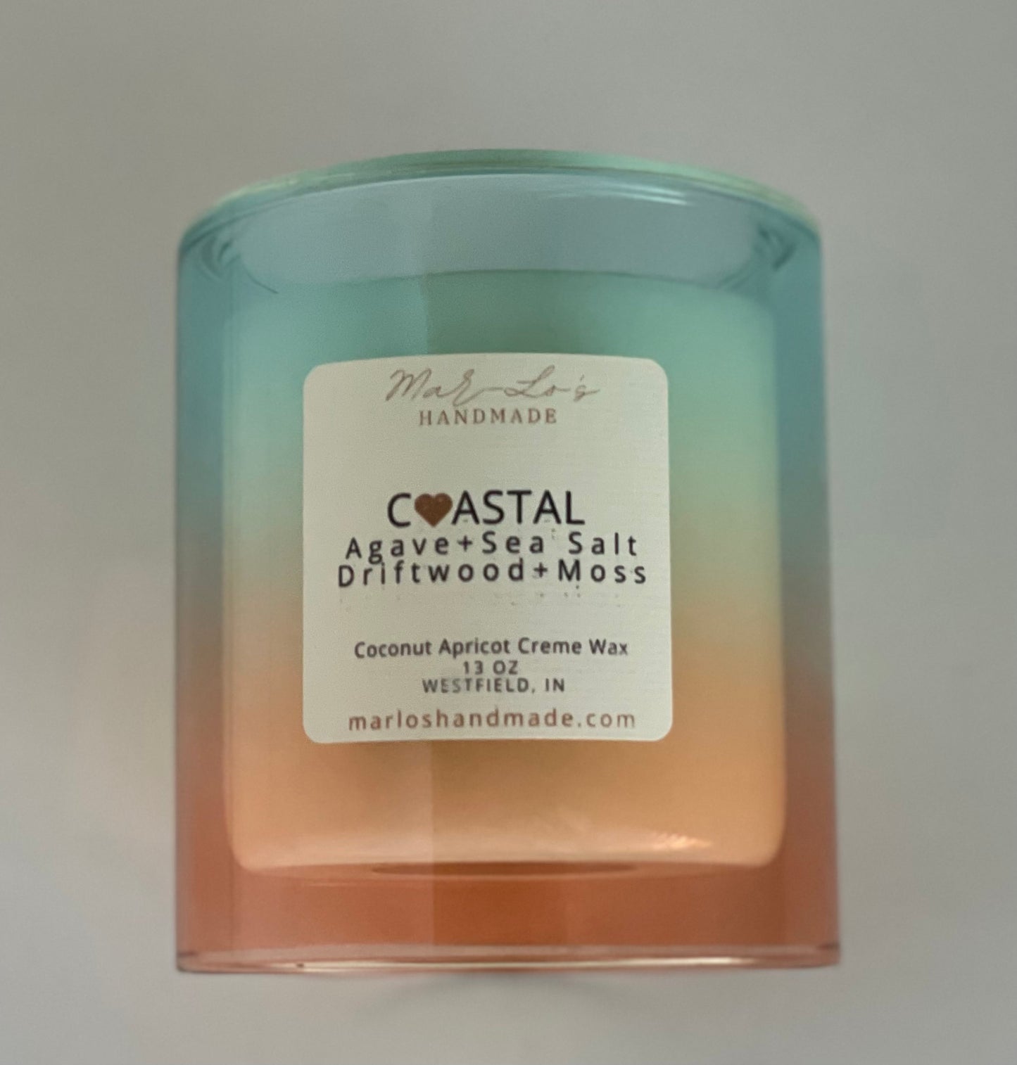 11 oz Limited Edition Candle in Coastal (Agave, Sea Salt, Driftwood, Moss)